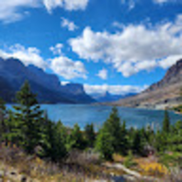 Meet your Posher, Tamara - Picture 1 of 1